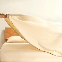 Super Soft King Size Beige Bed Sheet 3 Pieces Set by Alezam