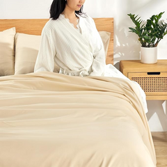 Super Soft King Size Beige Bed Sheet 3 Pieces Set by Alezam